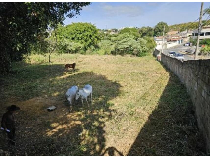 Foto 4 de 13: Terreno em leilão em Lavras - MG — Terreno à venda em leilão