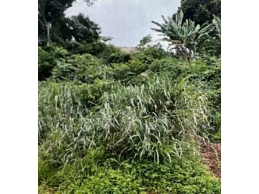 Foto 1 de 2: Terreno em leilão em Bom Jesus Dos Perdões - SP — Terreno à venda em leilão