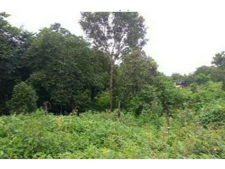 Terreno em leilão em Paraíso Do Tocantins - TO — Terreno à venda em leilão