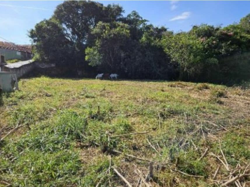 Foto 13 de 13: Terreno em leilão em Lavras - MG — Terreno à venda em leilão