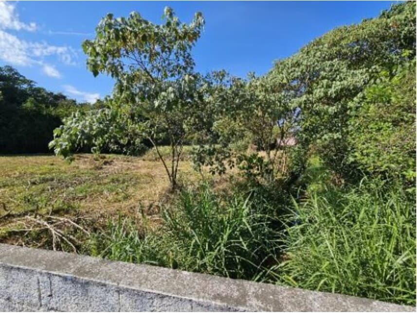 Foto 2 de 13: Terreno em leilão em Lavras - MG — Terreno à venda em leilão