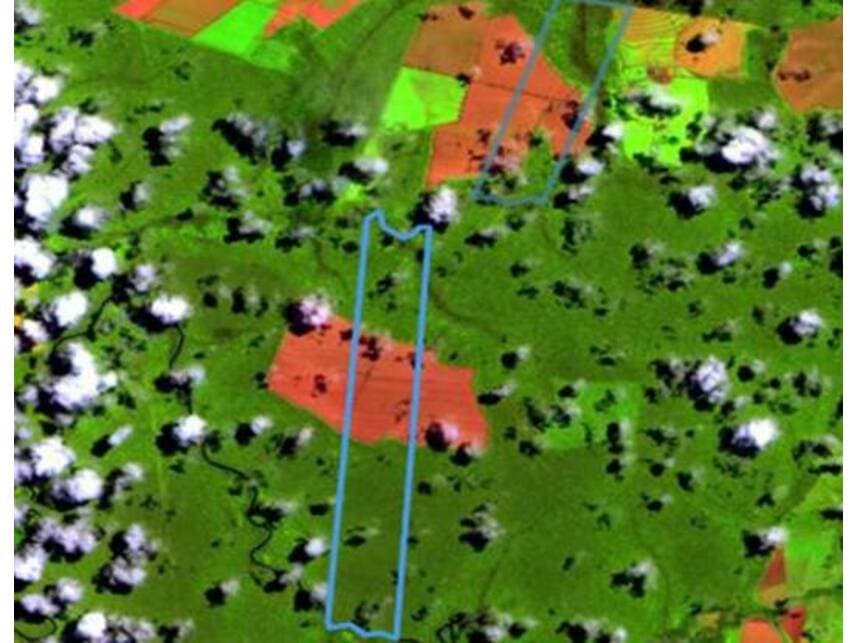 Area Rural em leilão em Nova Maringá - MT — Área Rural à venda em leilão