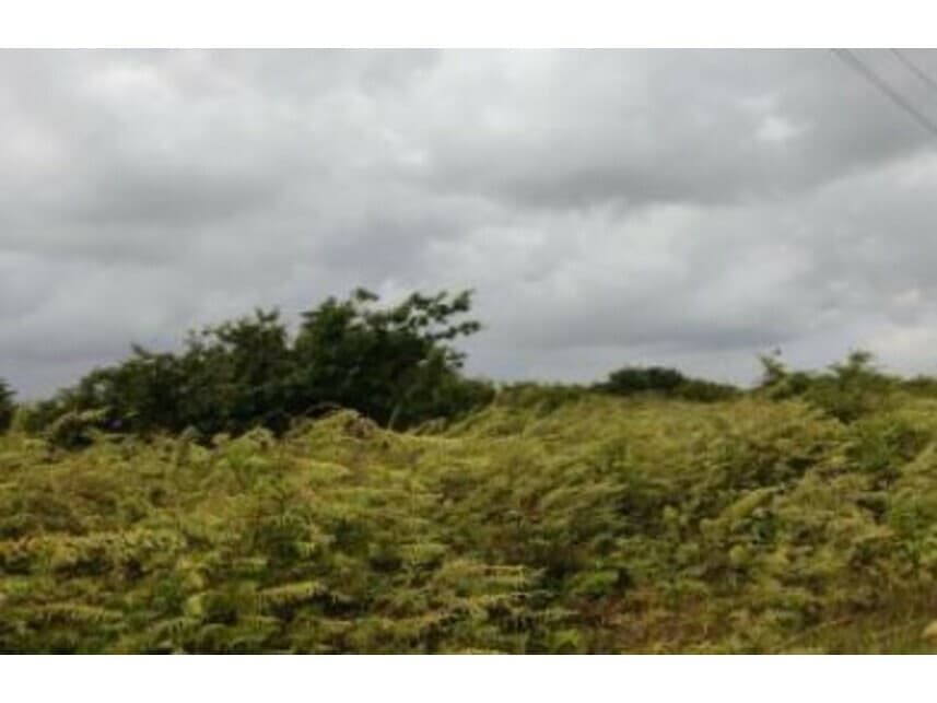 Foto 1 de 4: Area Rural em leilão em Ceará-mirim - RN — Área Rural à venda em leilão