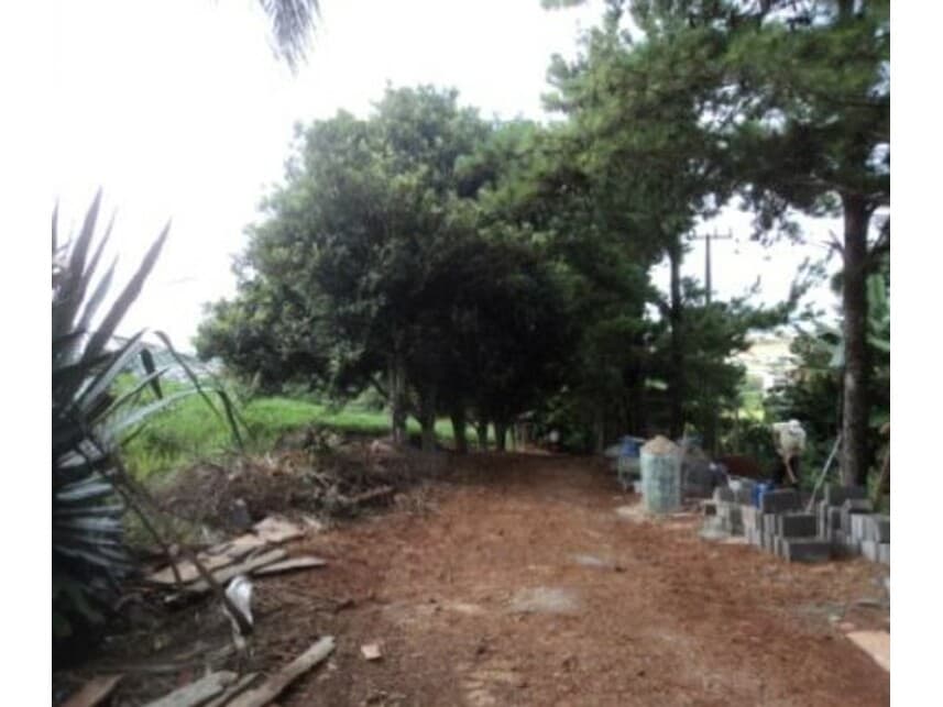 Foto 3 de 10: Area Rural em leilão em Arapongas - PR — Gleba Rural à venda em leilão