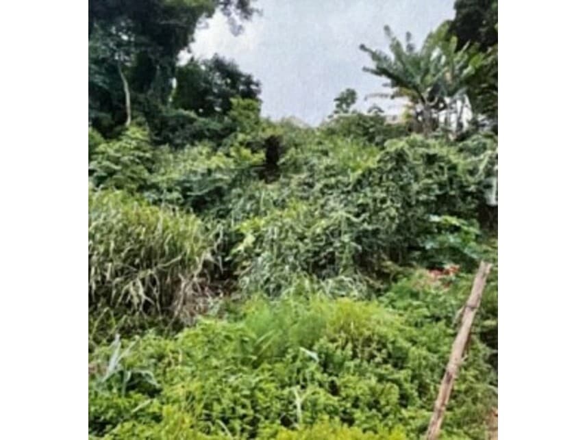 Foto 2 de 2: Terreno em leilão em Bom Jesus Dos Perdões - SP — Terreno à venda em leilão