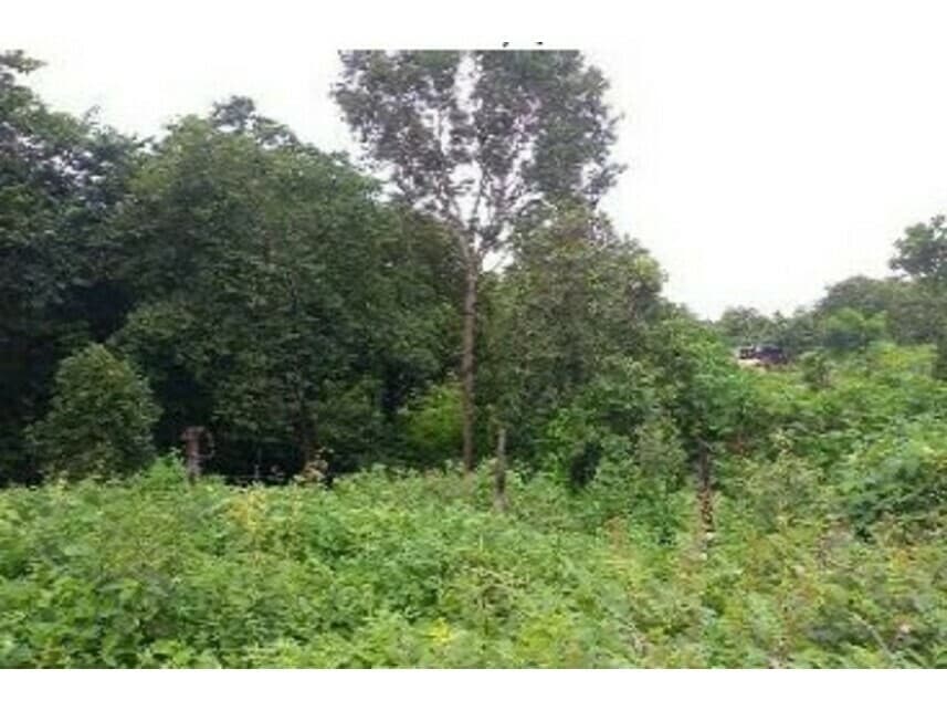 Terreno em leilão em Paraíso Do Tocantins - TO — Terreno à venda em leilão