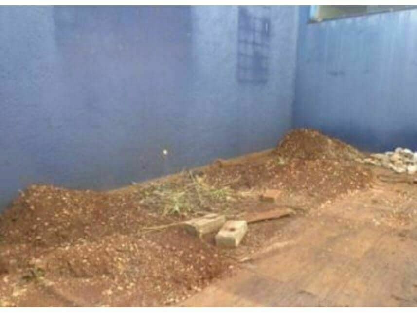 Foto 13 de 14: Comercial em leilão em Itapuí - SP — Prédio Comercial à venda em leilão