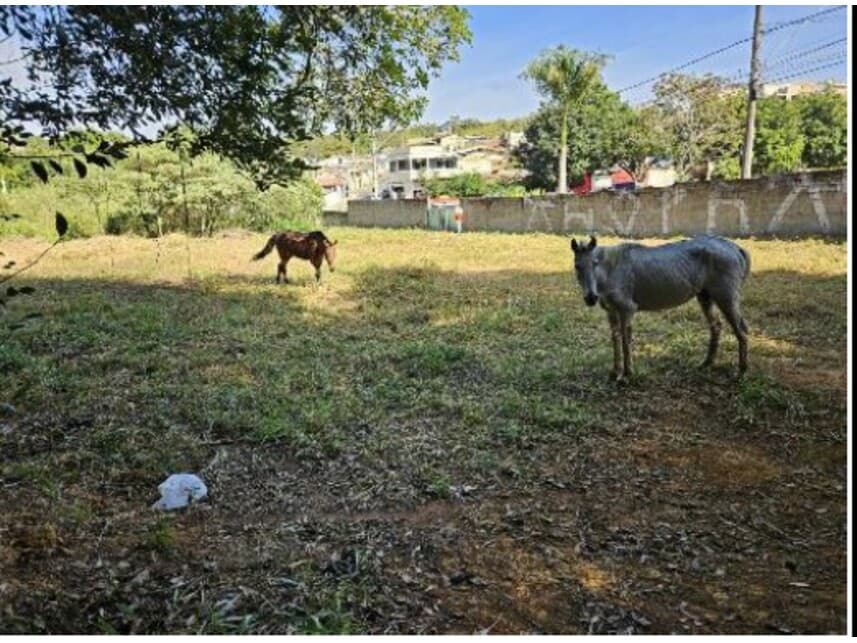 Foto 3 de 13: Terreno em leilão em Lavras - MG — Terreno à venda em leilão
