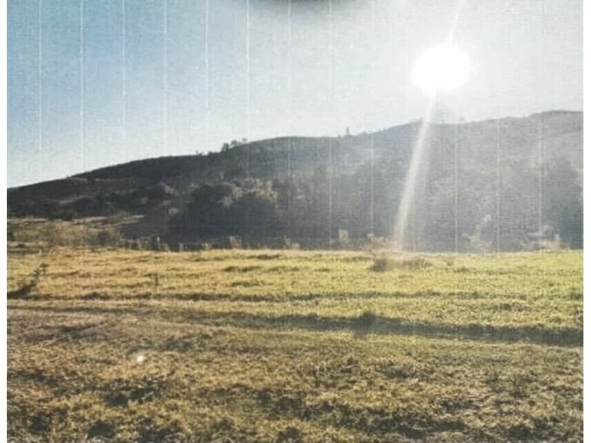 Foto 10 de 10: Area Rural em leilão em Sorocaba - SP — Área Rural à venda em leilão