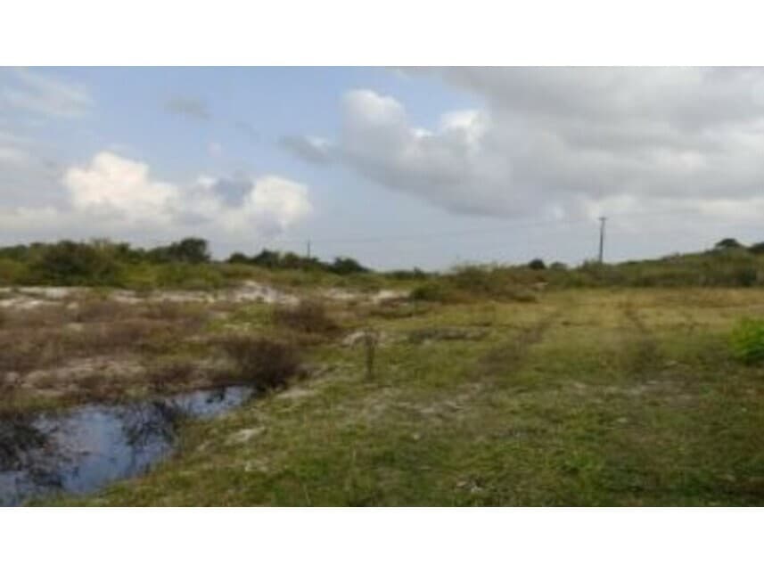 Foto 3 de 4: Area Rural em leilão em Ceará-mirim - RN — Área Rural à venda em leilão