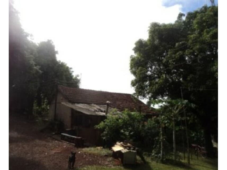 Foto 6 de 10: Area Rural em leilão em Arapongas - PR — Gleba Rural à venda em leilão