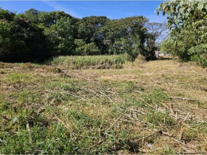 Foto 5 de 13: Terreno em leilão em Lavras - MG — Terreno à venda em leilão
