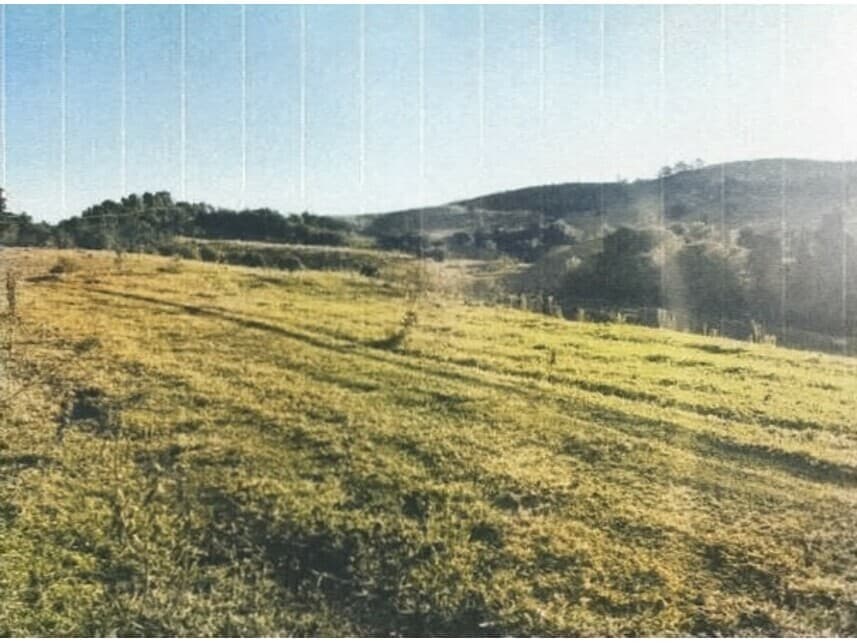 Foto 8 de 10: Area Rural em leilão em Sorocaba - SP — Área Rural à venda em leilão