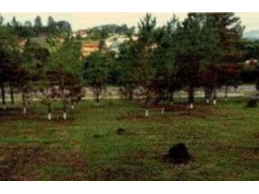 Foto 7 de 7: Comercial em leilão em Santa Isabel - SP — Galpão à venda em leilão