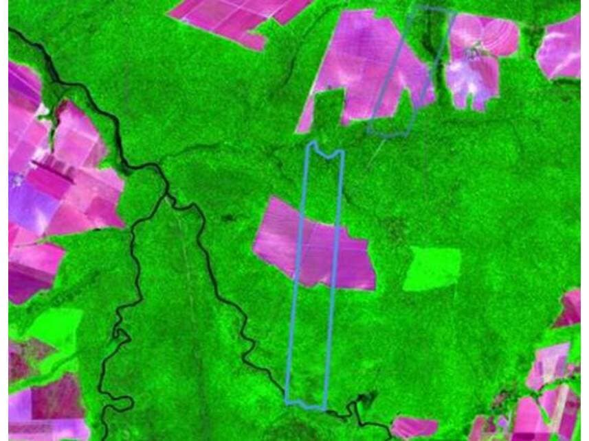 Foto 2 de 4: Area Rural em leilão em Nova Maringá - MT — Área Rural à venda em leilão