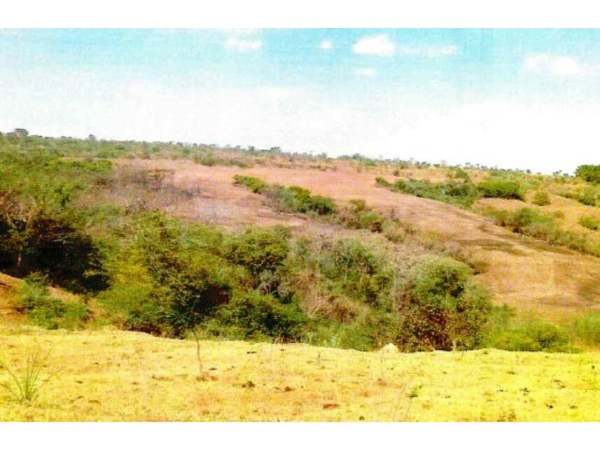 Foto 1 de 8: Area Rural em leilão em Mineiros - GO — Fazenda à venda em leilão