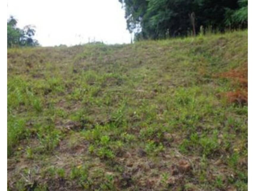 Foto 3 de 10: Terreno em leilão em Joinville - SC — Terreno à venda em leilão