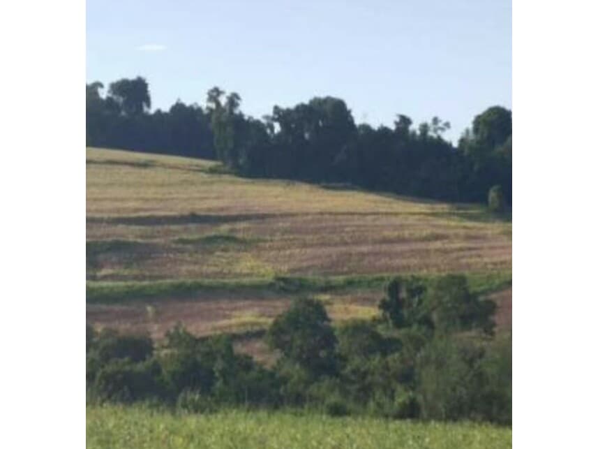 Foto 15 de 18: Area Rural em leilão em Itaporanga - SP — Área Rural à venda em leilão