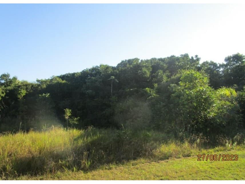 Foto 3 de 7: Terreno em leilão em Ilha Comprida - SP — Terreno à venda em leilão