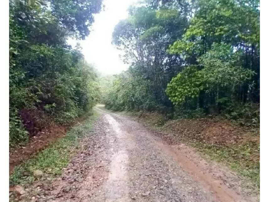 Foto 5 de 7: Terreno em leilão em São Bernardo Do Campo - SP — Terreno à venda em leilão