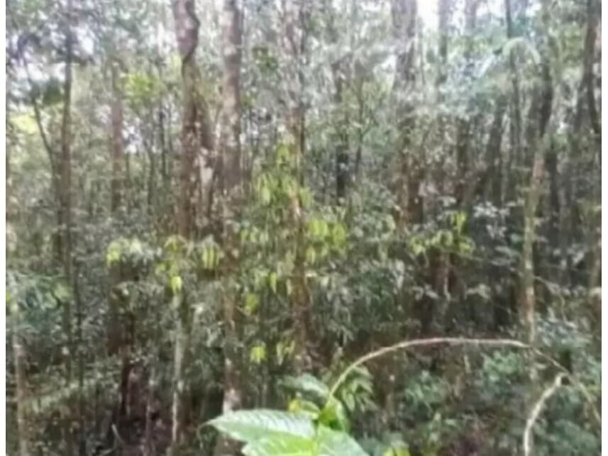 Foto 2 de 7: Terreno em leilão em São Bernardo Do Campo - SP — Terreno à venda em leilão