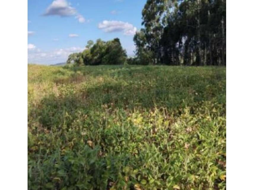 Foto 1 de 18: Area Rural em leilão em Itaporanga - SP — Área Rural à venda em leilão