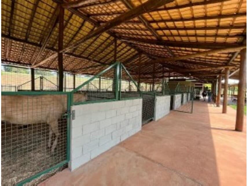 Foto 5 de 7: Terreno em leilão em São José Do Rio Preto - SP — Terreno à venda em leilão