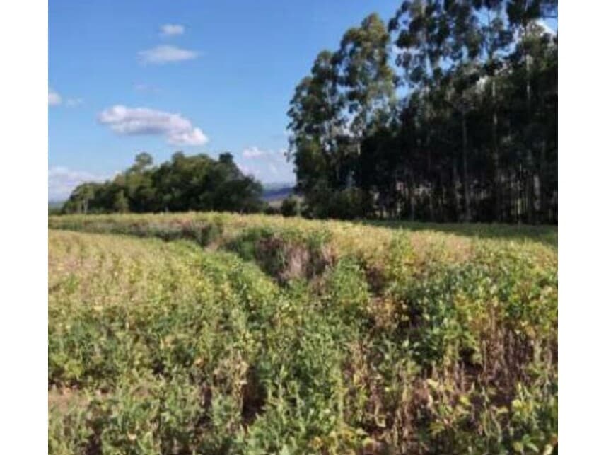 Foto 2 de 18: Area Rural em leilão em Itaporanga - SP — Área Rural à venda em leilão