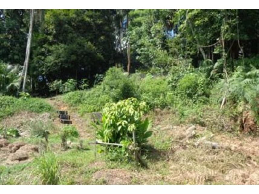 Foto 8 de 11: Terreno em leilão em Joinville - SC — Terreno à venda em leilão