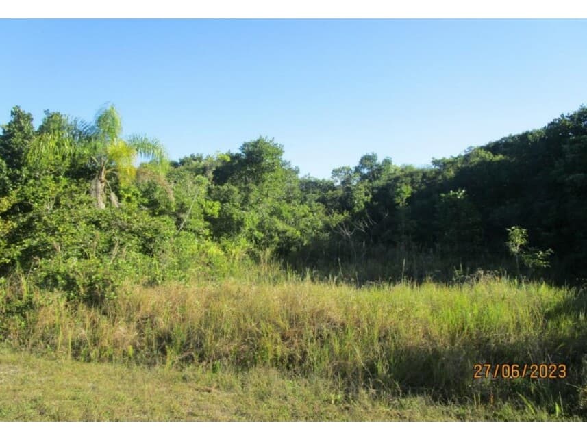 Foto 4 de 7: Terreno em leilão em Ilha Comprida - SP — Terreno à venda em leilão