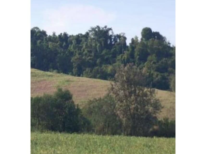 Foto 17 de 18: Area Rural em leilão em Itaporanga - SP — Área Rural à venda em leilão