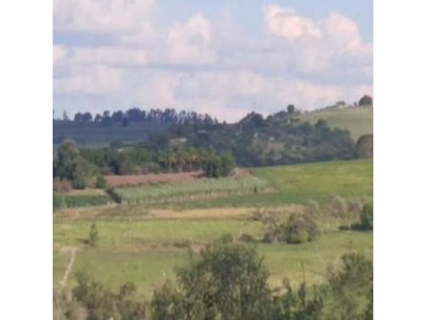 Foto 9 de 18: Area Rural em leilão em Itaporanga - SP — Área Rural à venda em leilão