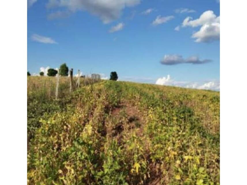 Foto 6 de 18: Area Rural em leilão em Itaporanga - SP — Área Rural à venda em leilão