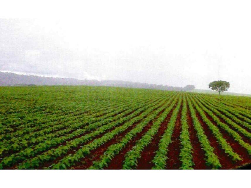 Foto 7 de 8: Area Rural em leilão em Mineiros - GO — Fazenda à venda em leilão