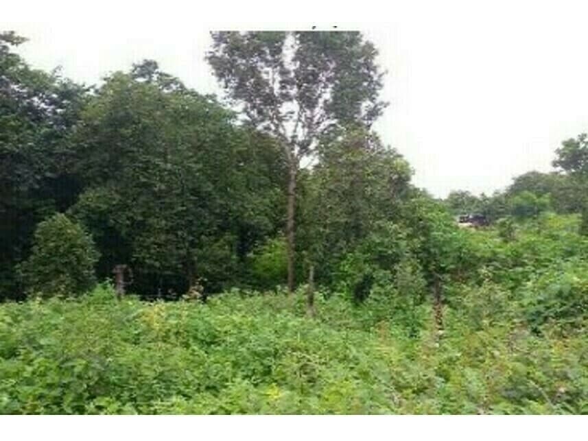 Terreno em leilão em Paraíso Do Tocantins - TO — Terreno à venda em leilão