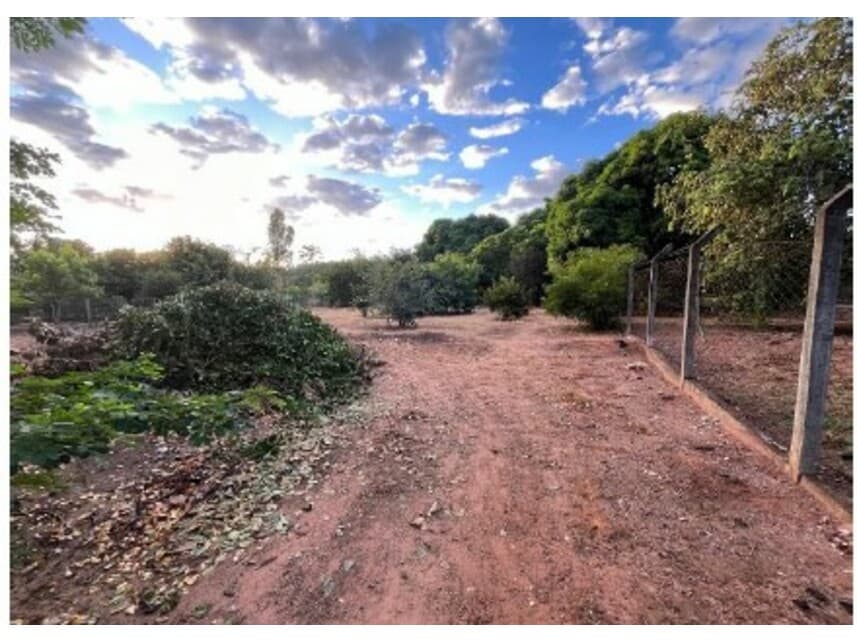 Foto 4 de 15: Casa em leilão em Adolfo - SP — Chácara à venda em leilão