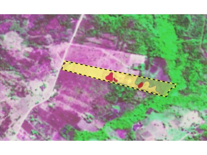 Area Rural em leilão em Santo Antônio Do Leverger - MT — Área Rural à venda em leilão