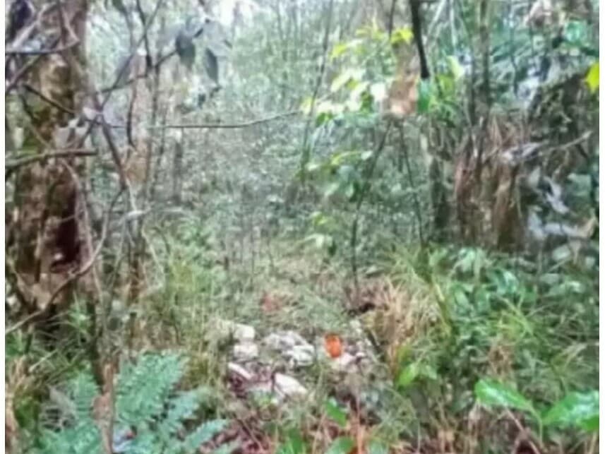 Foto 4 de 7: Terreno em leilão em São Bernardo Do Campo - SP — Terreno à venda em leilão