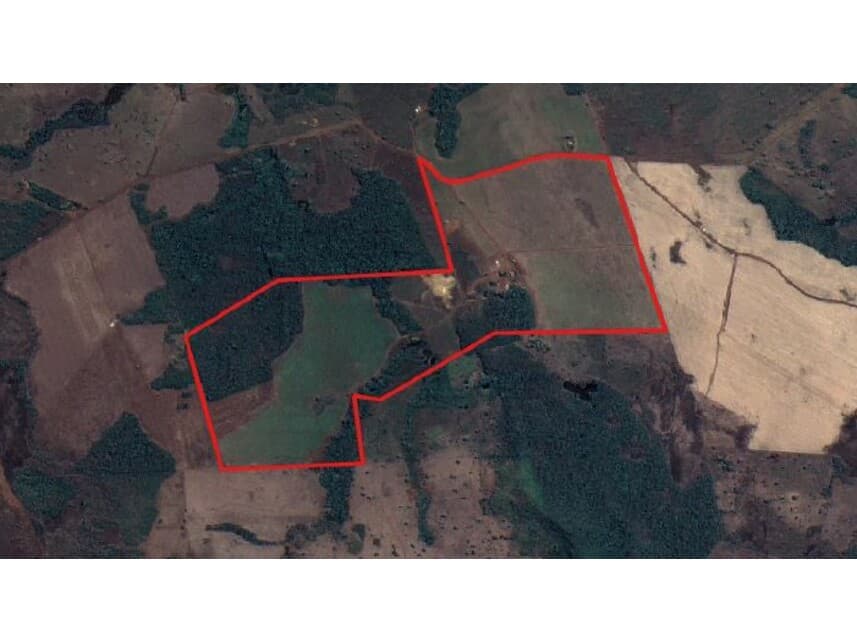 Foto 4 de 4: Area Rural em leilão em Conceição Do Araguaia - PA — Área Rural à venda em leilão