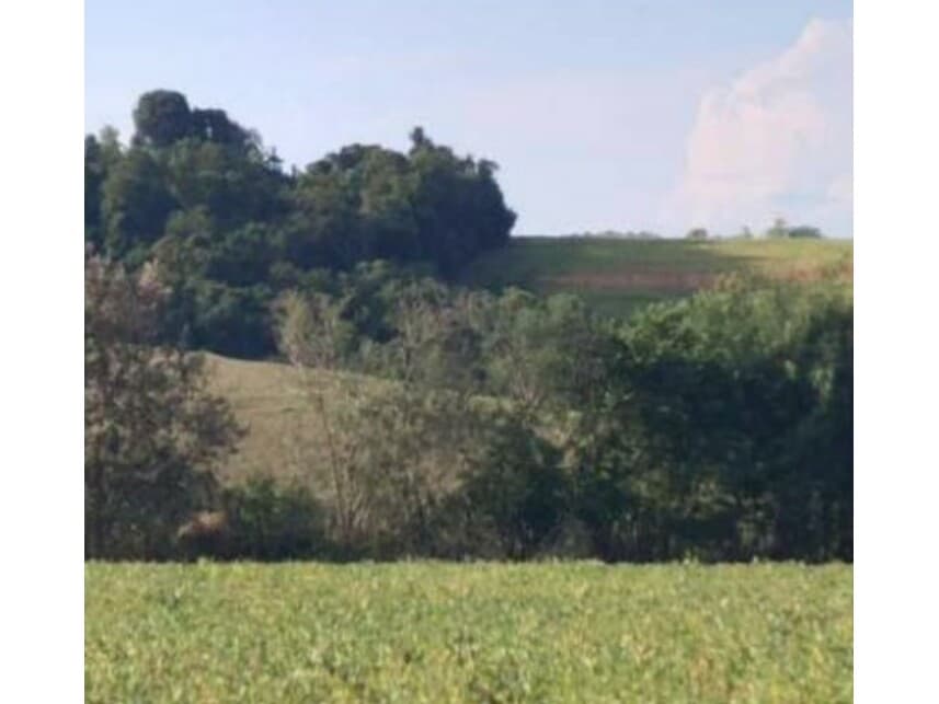 Foto 14 de 18: Area Rural em leilão em Itaporanga - SP — Área Rural à venda em leilão