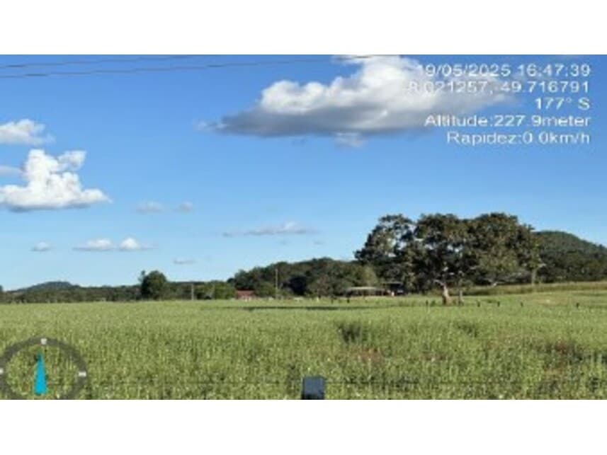 Foto 3 de 4: Area Rural em leilão em Conceição Do Araguaia - PA — Área Rural à venda em leilão