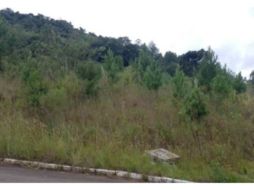 Foto 1 de 2: Terreno em leilão em Nova Petrópolis - RS — Terreno à venda em leilão