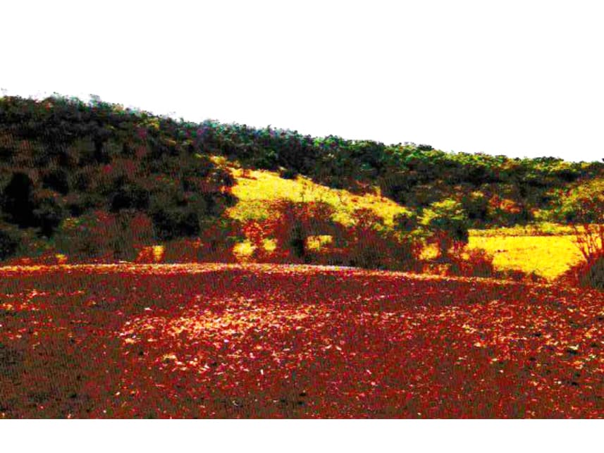 Foto 2 de 8: Area Rural em leilão em Mineiros - GO — Fazenda à venda em leilão