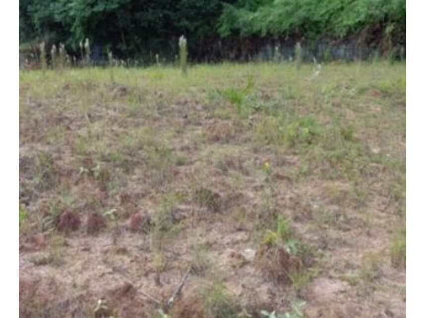 Foto 2 de 10: Terreno em leilão em Joinville - SC — Terreno à venda em leilão