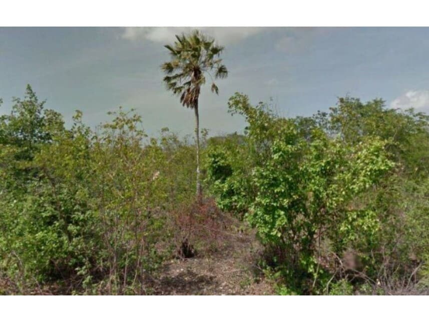 Area Rural em leilão em Caucaia - CE — Área Rural à venda em leilão