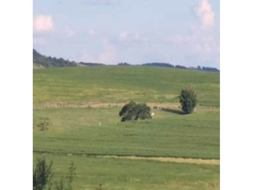 Foto 7 de 18: Area Rural em leilão em Itaporanga - SP — Área Rural à venda em leilão