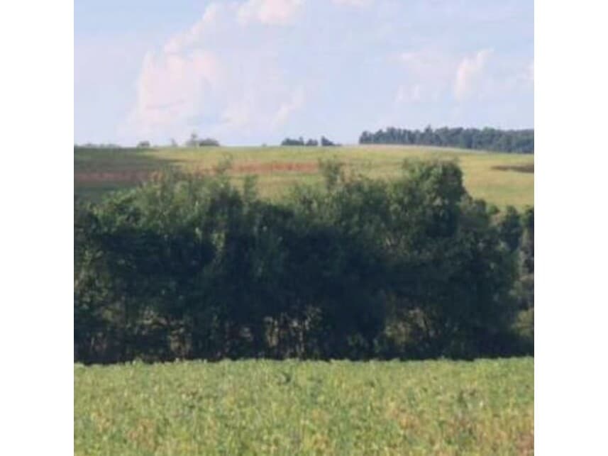 Foto 16 de 18: Area Rural em leilão em Itaporanga - SP — Área Rural à venda em leilão
