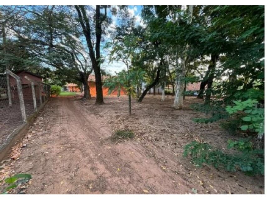 Foto 5 de 15: Casa em leilão em Adolfo - SP — Chácara à venda em leilão