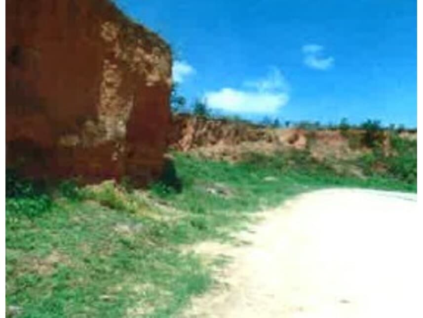 Foto 2 de 3: Area Rural em leilão em São Cristóvão - SE — Gleba de Terras à venda em leilão
