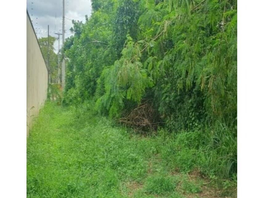 Foto 8 de 10: Terreno em leilão em Saltinho - SP — Terreno à venda em leilão